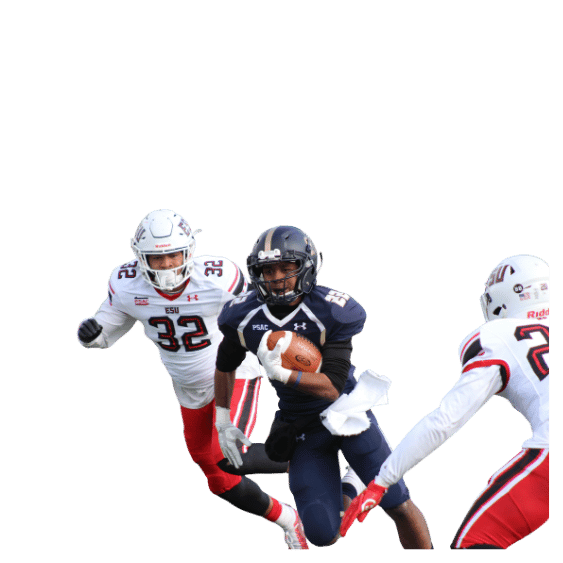 介绍世界杯预测